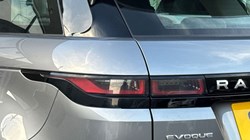 2021 (71) LAND ROVER RANGE ROVER EVOQUE 2.0 D200 SE 5dr Auto 5076889