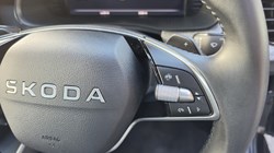 2024 (24) SKODA KAMIQ 1.0 TSI SE Edition 5dr DSG 5351557