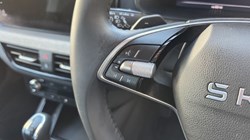 2024 (24) SKODA KAMIQ 1.0 TSI SE Edition 5dr DSG 5351555
