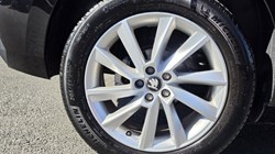 2024 (24) SKODA KAMIQ 1.0 TSI SE Edition 5dr DSG 5351548