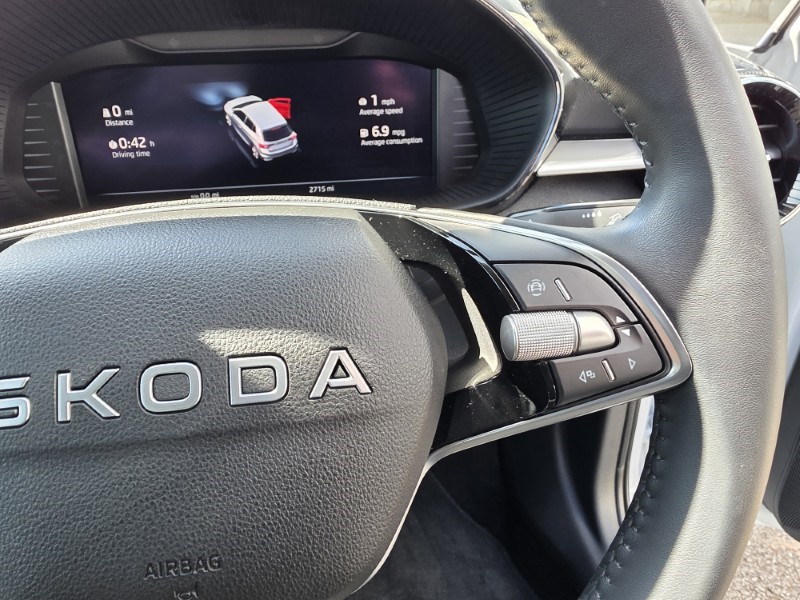 2025 (25) SKODA FABIA 1.0 TSI 116 SE L Edition 5dr DSG 5322760