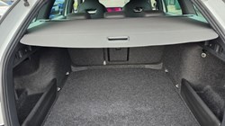 2025 (25) SKODA OCTAVIA 1.5 TSI 150 e-TEC Sportline 5dr DSG 5359198