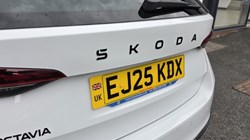 2025 (25) SKODA OCTAVIA 1.5 TSI 150 e-TEC Sportline 5dr DSG 5359192