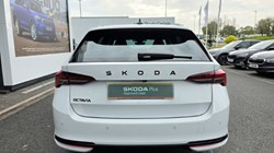 2025 (25) SKODA OCTAVIA 1.5 TSI 150 e-TEC Sportline 5dr DSG 5359180