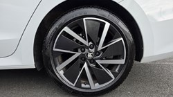 2025 (25) SKODA OCTAVIA 1.5 TSI 150 e-TEC Sportline 5dr DSG 5359197