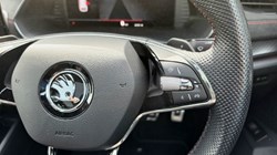 2023 (73) SKODA OCTAVIA 2.0 TDI 200 vRS 4x4 5dr DSG 5386394