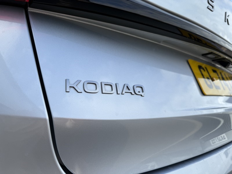 2024 (74) SKODA KODIAQ 2.0 TDI SE 5dr DSG [7 Seat] 5450066