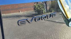 2024 (24) LAND ROVER RANGE ROVER EVOQUE 2.0 D200 Dynamic SE 5dr Auto 5254162