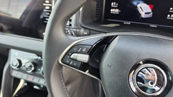 2024 (74) SKODA KAROQ 1.0 TSI 116 SE L 5dr 5507960