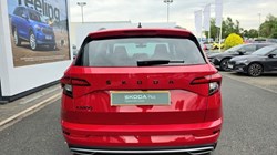 2020 (69) SKODA KAROQ 1.5 TSI Sport Line 5dr 5536490