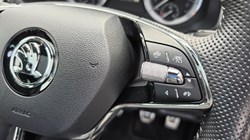 2022 (22) SKODA KAROQ 1.5 TSI Sportline 5dr 5582060