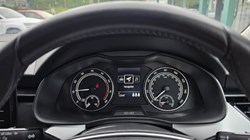 2023 (23) SKODA KAMIQ 1.5 TSI SE Drive 5dr 5587288