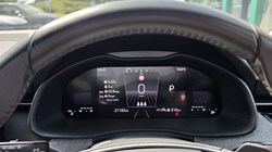 2024 (24) SKODA KAMIQ 1.5 TSI SE 5dr DSG 5623228