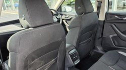 2024 (24) SKODA KAMIQ 1.5 TSI SE 5dr DSG 5623209