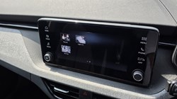 2024 (24) SKODA KAMIQ 1.5 TSI SE 5dr DSG 5623235
