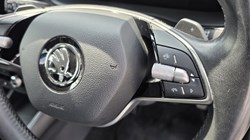 2024 (24) SKODA KAMIQ 1.5 TSI SE 5dr DSG 5623223
