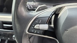 2024 (24) SKODA KAMIQ 1.5 TSI SE 5dr DSG 5623221