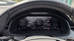 2024 (24) SKODA KAMIQ 1.5 TSI SE 5dr DSG 5623229