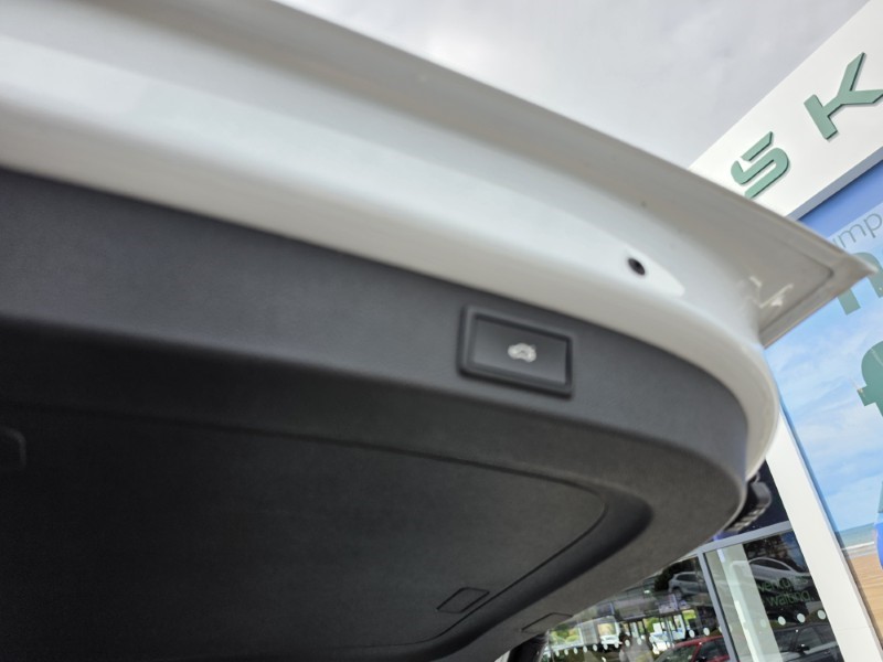 2021 (21) SKODA KODIAQ 2.0 TDI SE L 5dr DSG [7 Seat] 5643491