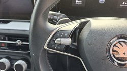 2024 (74) SKODA KODIAQ 1.5 TSI e-TEC SE 5dr DSG 5676664