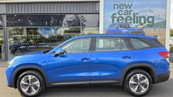 2024 (74) SKODA KODIAQ 1.5 TSI e-TEC SE 5dr DSG 5676647