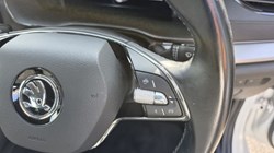 2020 (70) SKODA OCTAVIA 1.5 TSI SE First Edition 5dr 5695041