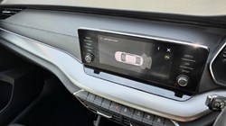 2020 (70) SKODA OCTAVIA 1.5 TSI SE First Edition 5dr 5695047