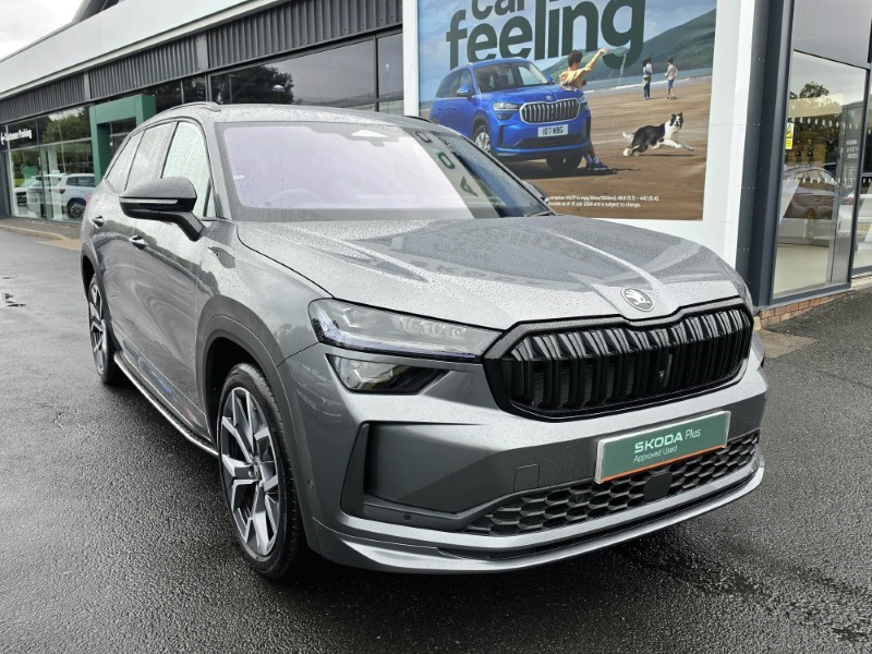 2025 (75) SKODA KODIAQ 1.5 TSI e-TEC SportLine 5dr DSG [7 Seat] 5770626