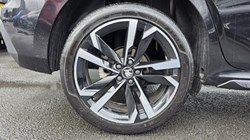 2025 (25) SKODA KAMIQ 1.0 TSI Monte Carlo Edition 5dr 5773399