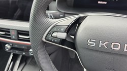 2025 (25) SKODA KAMIQ 1.0 TSI Monte Carlo Edition 5dr 5773432