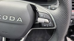 2025 (25) SKODA KAMIQ 1.0 TSI Monte Carlo Edition 5dr 5773433