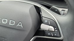 2025 (25) SKODA SCALA 1.0 TSI 116 SE L Edition 5dr DSG 5777164