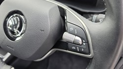 2024 (24) SKODA FABIA 1.0 TSI 116 SE L 5dr DSG 5800748