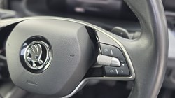 2024 (74) SKODA KAMIQ 1.0 TSI SE 5dr DSG 5779112