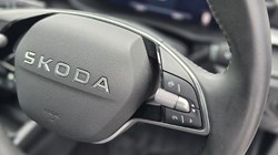 2025 (25) SKODA FABIA 1.5 TSI 150 SE L Edition 5dr DSG 5779216