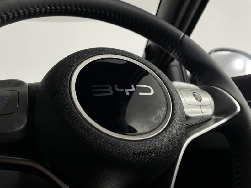 2025 (25) BYD DOLPHIN SURF 115kW Comfort 43kWh 5dr Auto 4626130