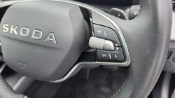 2025 (25) SKODA SCALA 1.0 TSI 116 SE L Edition 5dr DSG 5794419