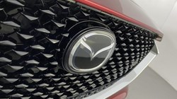 2023 (73) MAZDA CX-30 2.0 e-Skyactiv G MHEV Exclusive-Line 5dr Auto 4686442