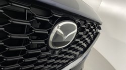 2022 (72) MAZDA CX-60 2.5 PHEV Homura 5dr Auto 4794477