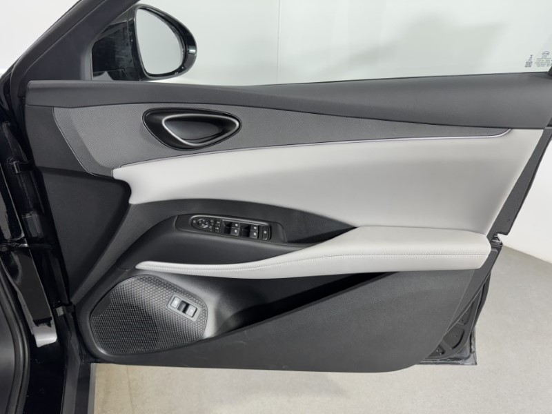 2025 (75) BYD SEAL 6 1.5 DM-i Boost 5dr e-CVT 5126954