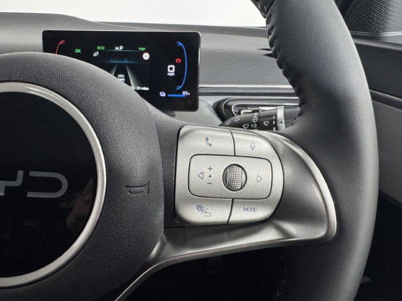 2026 (26) BYD DOLPHIN SURF 65kW Active 30kWh 5dr Auto 5394127