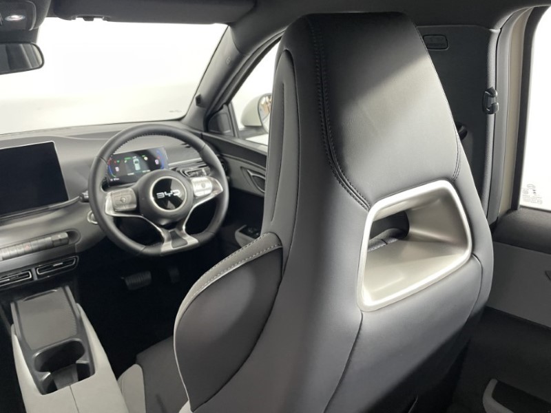  BYD DOLPHIN SURF 65kW Active 30kWh 5dr Auto 4320838