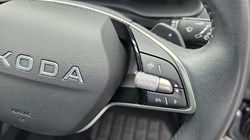 2025 (74) SKODA KAROQ 1.5 TSI SE L Edition 5dr DSG 5868433