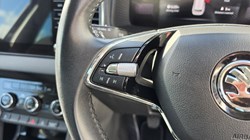 2023 (23) SKODA KAROQ 1.0 TSI SE Drive 5dr 5883693