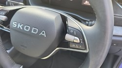 2025 (75) SKODA OCTAVIA 1.5 TSI 150 SE L 5dr 5883649
