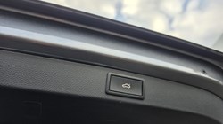 2024 (24) SKODA KAROQ 1.5 TSI Sportline 5dr DSG 5956268