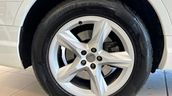2019 (19) AUDI Q7 45 TDI Quattro Sport 5dr Tiptronic 3358109