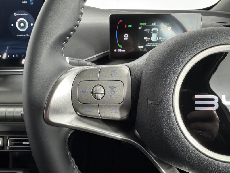  BYD DOLPHIN SURF 65kW Active 30kWh 5dr Auto 5169831