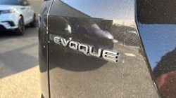 2025 (25) LAND ROVER RANGE ROVER EVOQUE 2.0 D165 Dynamic SE 5dr Auto 5126834