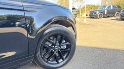 2025 (25) LAND ROVER RANGE ROVER EVOQUE 2.0 D165 Dynamic SE 5dr Auto 5126837